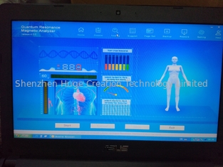 Cina Romanian Language Software Version 44 Reports Quantum Body analyzer Silver Color Box pemasok