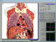 3D Nls kesehatan tubuh komposisi Analyzer, sel darah Analyzer pemasok