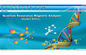 Quantum Bio-Electric Whole Health Analyzer, Malaysia 36 Laporan pemasok