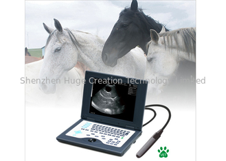 Cina CLS5800 laptop Veterinary Ultrasound Scanner Full Digital Ultrasonic Diagnostic System pemasok