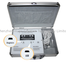 Cina Lemak Tubuh Quantum Magnetic Resonance Analyzer Kesehatan Dengan FDA Dan CE pemasok