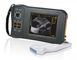 Monokrom Tampilan Kedokteran Hewan Ultrasound Scanner L60 Dengan 32 Saluran Digital pemasok
